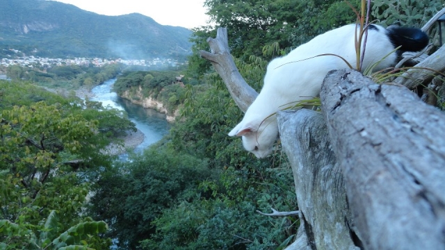 Paisajes del divisadero